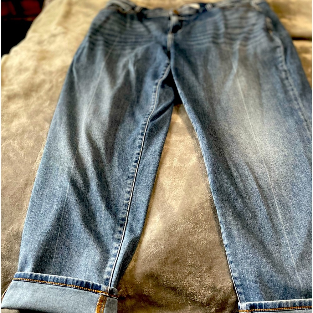 Lane Bryant Boyfriend Jeans. Great means for those who love that loose fit